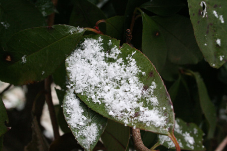 20120218-1.jpg