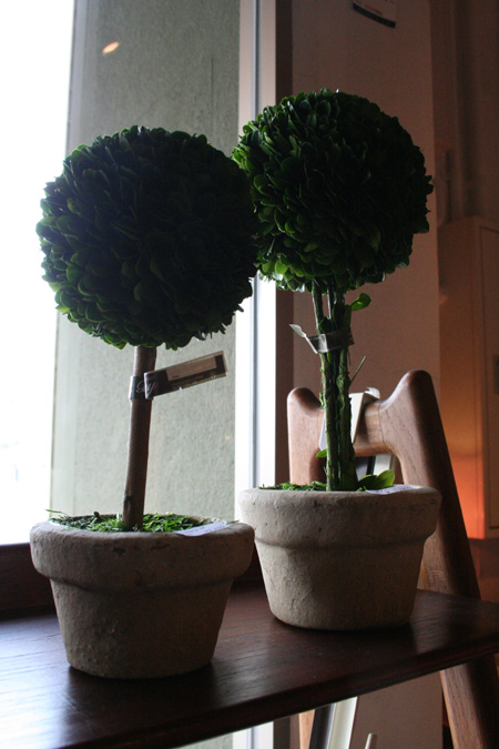 20120309-3.jpg