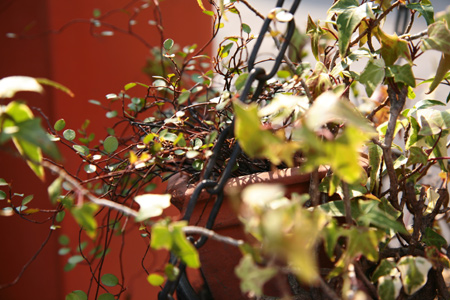 20120319-2.jpg