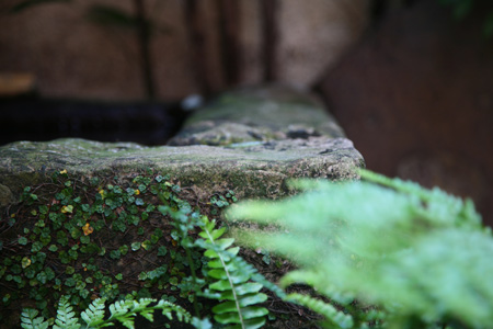 20120520-2.jpg