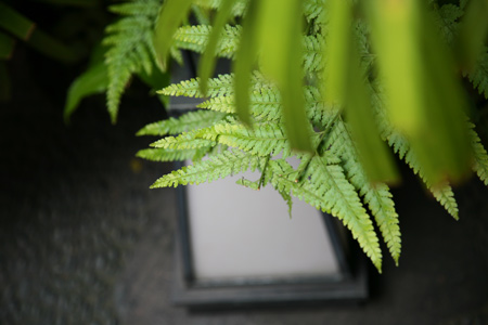 20120520-3.jpg