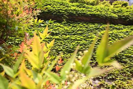 20120520-5.jpg