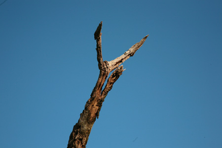 20120602-2.jpg