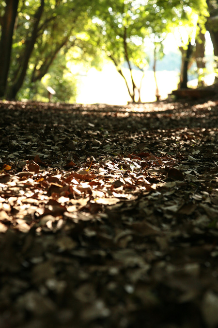20120602-4.jpg