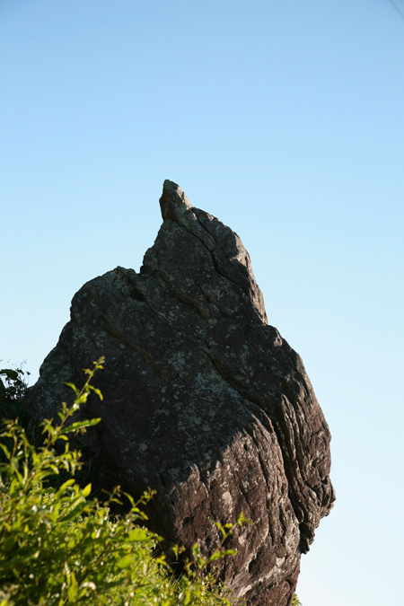 20120602-8.jpg