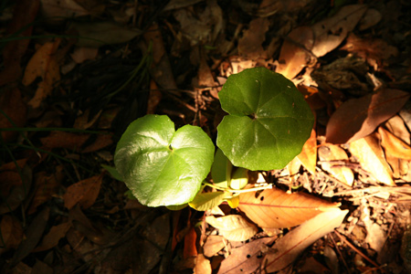 20120602-9.jpg