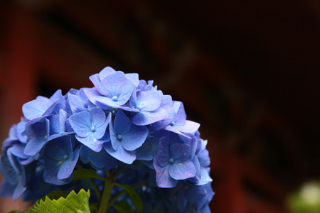 20120608-1.jpg