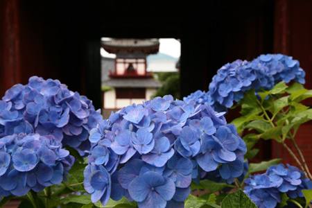 20120608-12.jpg