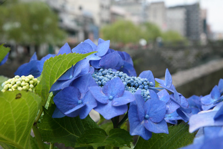 20120608-2.jpg