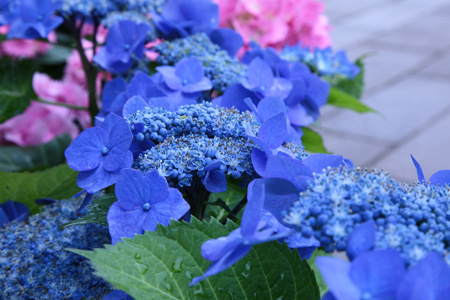 20120608-6.jpg