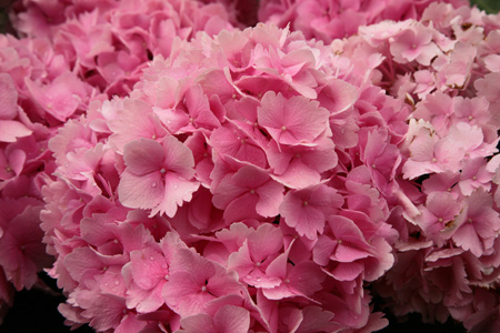 20120608-7.jpg