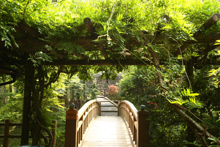20120617-10.jpg