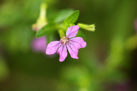 20120624-8.jpg
