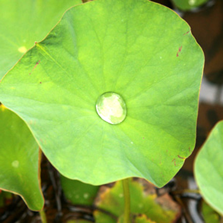 20120721-1.jpg
