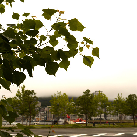 20120721-2.jpg