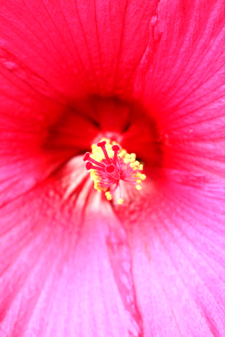 20120721-8.jpg