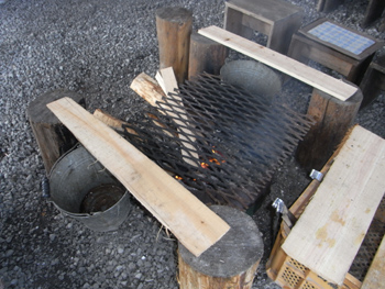 kaki-1.jpg