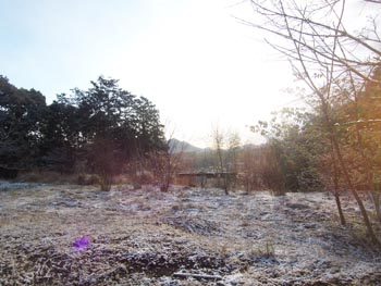 kaze-yuki-2.jpg