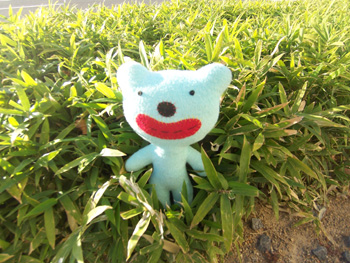 kuma1.jpg