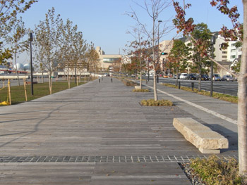 sannpo-1.jpg