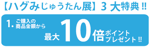 特典1.png