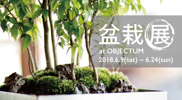 盆栽展.jpg