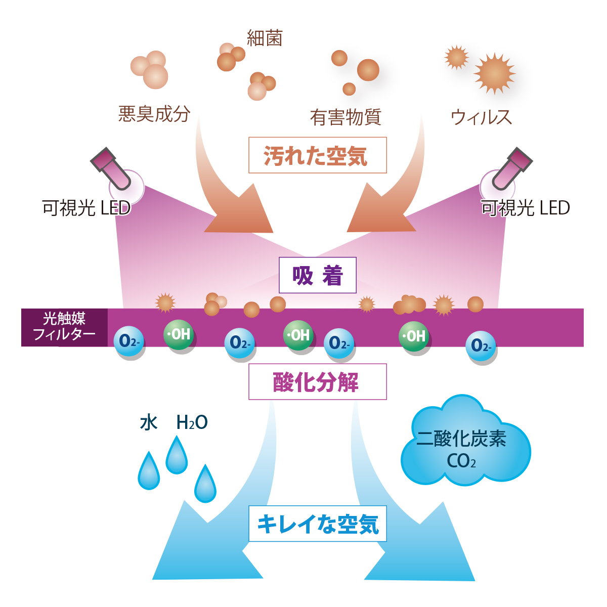 光触媒が吸着して分解
